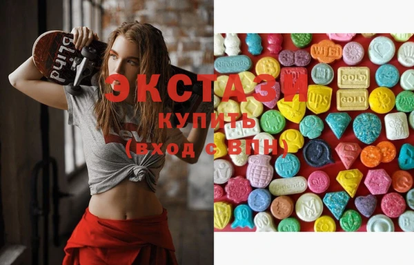 крисы Кулебаки