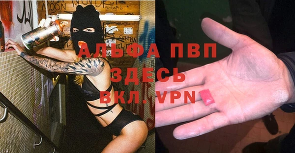 крисы Кулебаки
