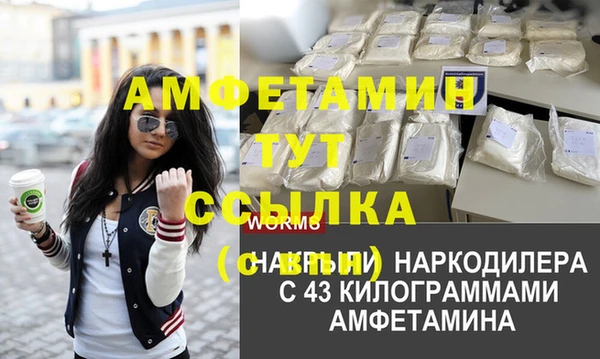 спиды Кукмор