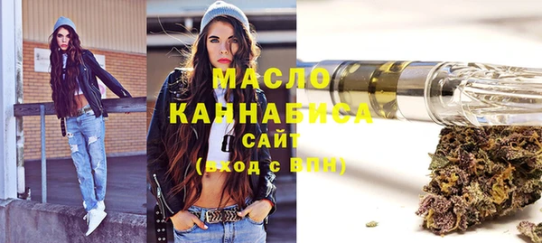 крисы Кулебаки