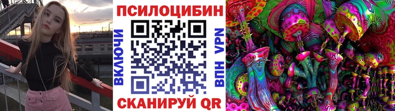 Псилоцибиновые грибы ЛСД  Александровск 